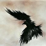 Amy Crow - @crow_amy_ - Instagram