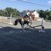Amy Schmidt Curran - Facebook