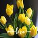 Amy Currier - Facebook