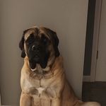 Amy Currier Meier - @amy.currier16 - Instagram