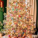 Amy  Cushman - @cushman1351 - Instagram