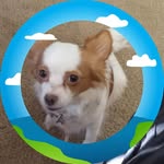Amy Jo Cushman Skeens - @amycushmanskeens - Instagram