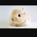 Amy Dahm - Facebook