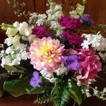 Amy Dallman - @cottagehillgardens - Instagram