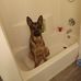 Amy Dalman - Facebook