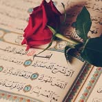 امير داليمي - Facebook