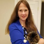 Amy D'Amico - @adamicovmd - Instagram