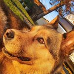 Amy Folman Dampier - @dampieramy - Instagram