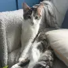 Amy Dann - @amydann - TikTok