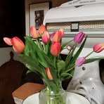 Amy Danley - Facebook