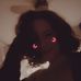 Amy Tuinenburg - Facebook
