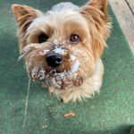 Amy Danner Black - @amyblack2599 - Instagram