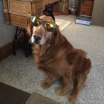 Amy L Danner - @arennad - Instagram