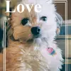 Amy Addante - @amyaddante - TikTok