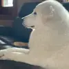 Amy Dante G - @amy.dante.g - TikTok