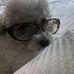 Amy Dantzler - Facebook