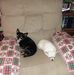 Amy Danza - Facebook