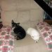 Amy Danza - Facebook