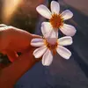 💓Amy_Darcy💓 - @amy_darcy10 - TikTok
