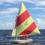 Amy Darden - @acdarden1 - Instagram