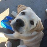 Amy Darke - @darke.amy - Instagram