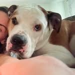 Amy Darrah - @darrah_amy - Instagram