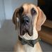 Amy Daney - Facebook