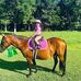 Amy Hopkins Daney - Facebook