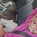 Amy Dault - Facebook
