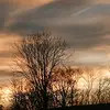 amy davy - @amy.davy4 - TikTok