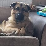 Amy Deakin - @amydeakin2010 - Instagram