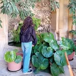 Amy Debono - @a.debono130 - Instagram