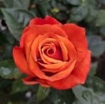 Amy Deeks - Facebook