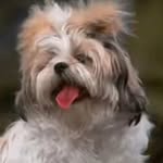 deekshitha G s - @deekshithaswamygowda__ - Instagram