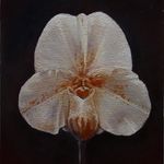 Amy Denny - @amydennyart - Instagram