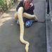 Amy Van Der Walt - Facebook
