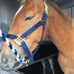Amy & Derby - @amy_and_derby - Instagram