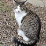 Amy Derby - @aderby541 - Instagram