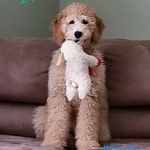 Amy Derby - @derbyamy - Instagram