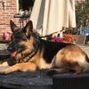 amy_to_cute - @amy_de_ridder - TikTok