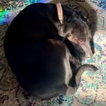 Amy Deringer Robinson - @deeperdownfurtherout - Instagram