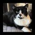 Amy DeRose - Facebook