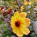 Amy Dearinger - Facebook