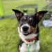 Amy Carlton Deschler - Facebook
