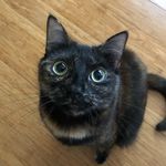 Amy - @amydessertfirst - Instagram