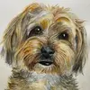 amydevaneart - @amy_devane_art - TikTok