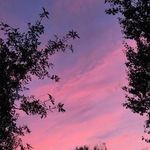 amydevillers - @amyd1718 - Instagram