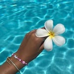 amy.de.vos1 - @amy.de.vos1 - Instagram