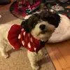 Amy - @amy_dewinter_ - TikTok