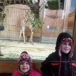 Amy Dewinter - @dewinteramy - Instagram